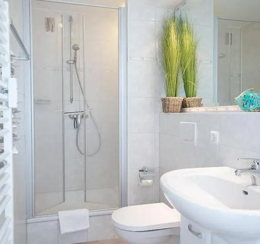 Seestern App 3 D Westerland